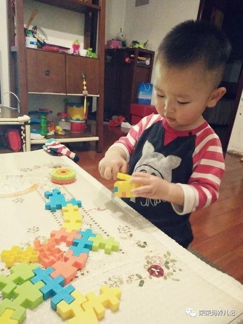 拼插類玩具哪家強之拔草專區(qū) 盤點李大榮不愛玩的那些拼插玩具
